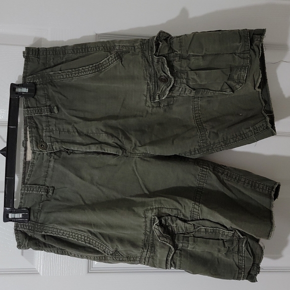 American Eagle Outfitters Other - American Eagle Outfitters Men's Vintage Cargo Shorts, Green, 33